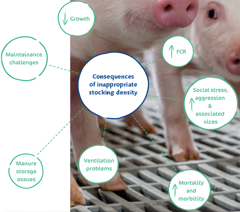 Wean to Finish Graphic