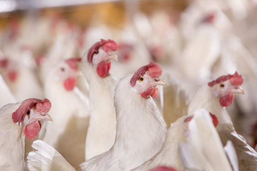 Ongoing trial insights of the 41st North Carolina Random Sample Test