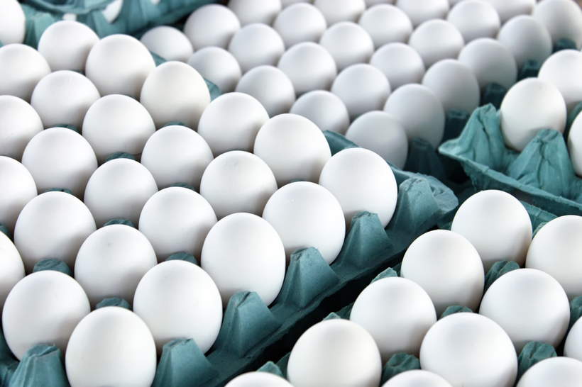 Egg quality starts with genetics