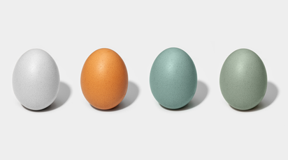 Website images-colored eggs.PNG