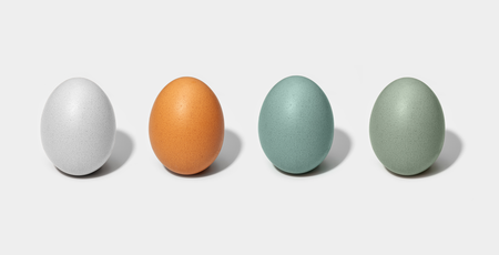 Website images-colored eggs.PNG