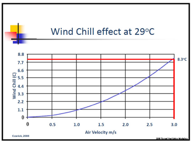 Wind Chill Effect at 29 Degrees Farenheit