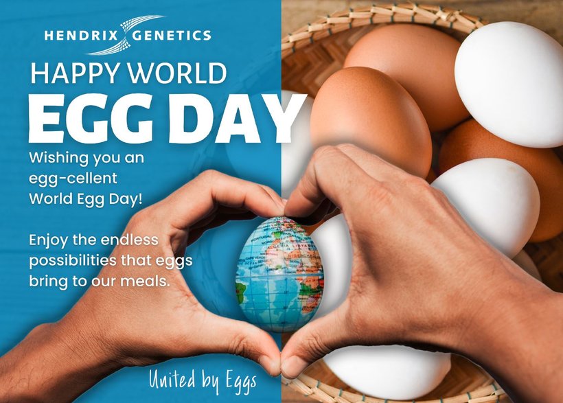 Happy World Egg Day 2024