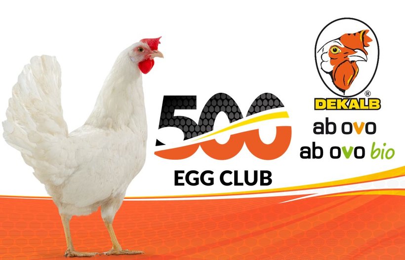 The 500 egg Club tour in Germany