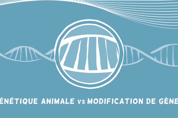 Genetique animale vs modification de genes