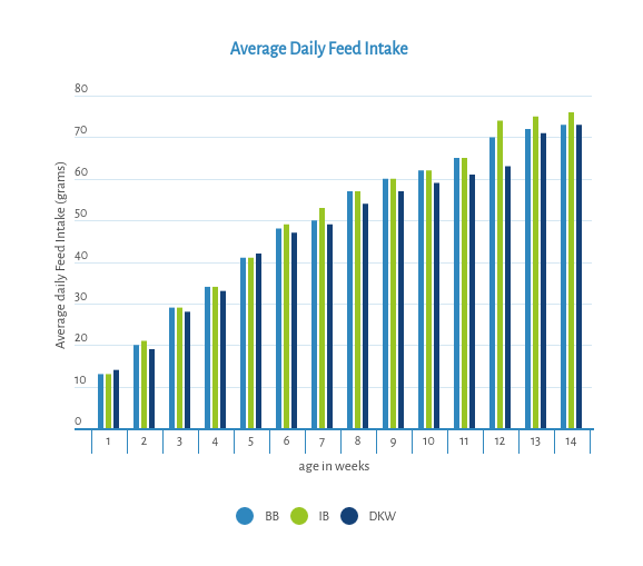 average-daily-feed-intake_en.png