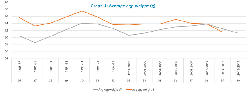 average egg weight.png