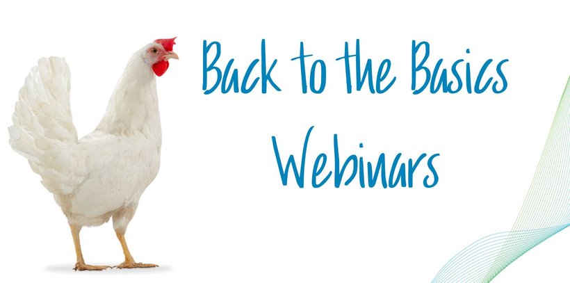 Discover our Back to Basic Webinars