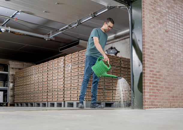 biosecurity hatching eggs