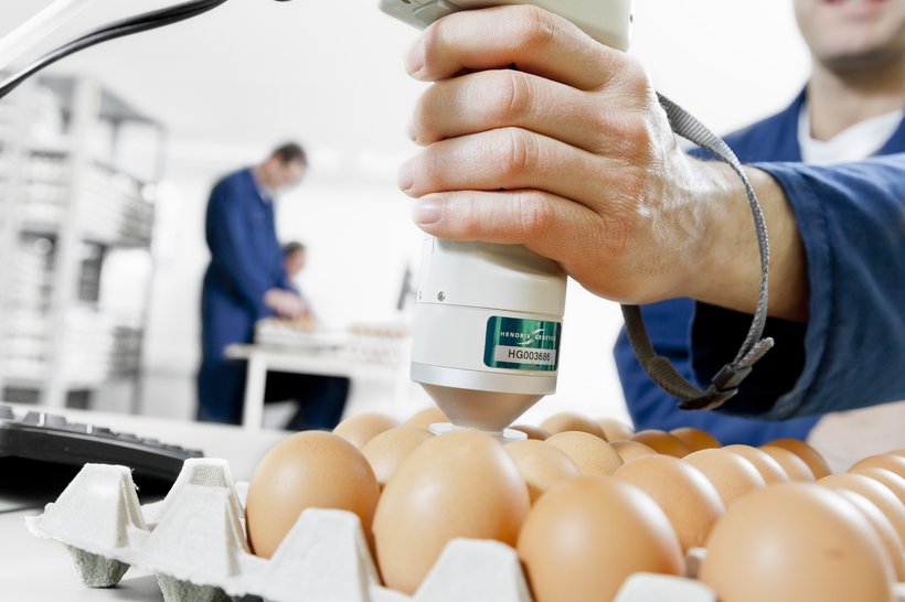 Optimal Egg Shell Quality: Nutrition Essentials
