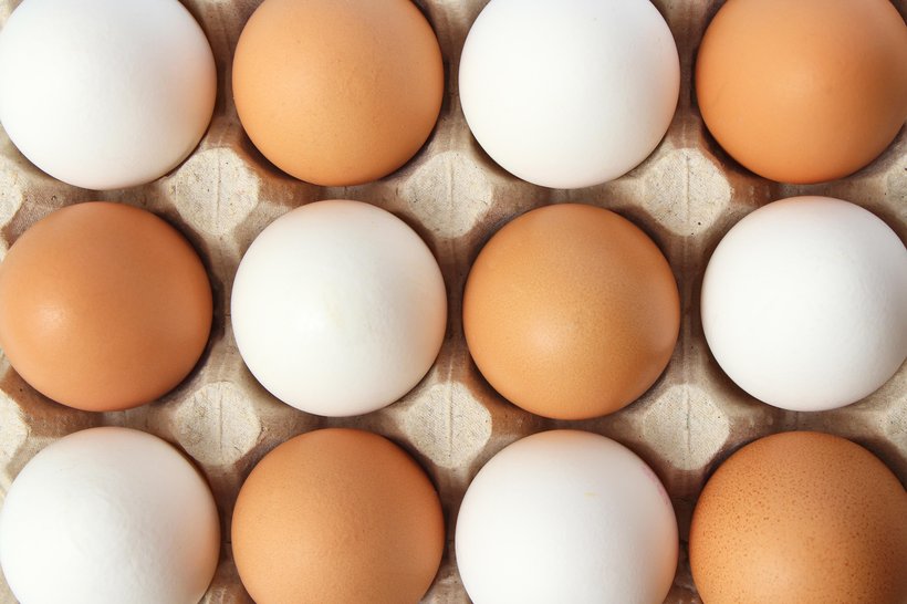 8 Egg facts you might not knew