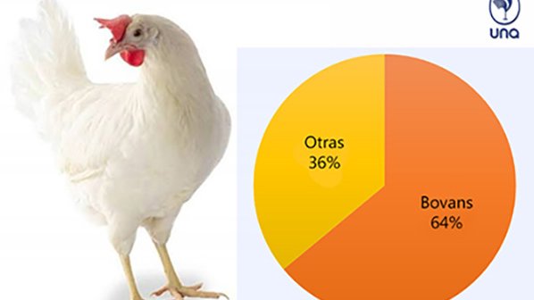 chicken with graph.jpg