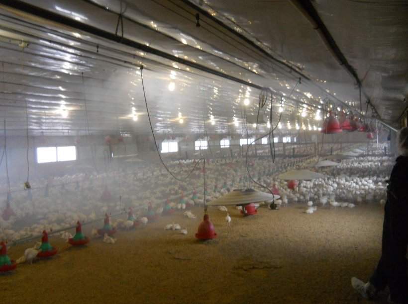 Poultry house ventilation for cold weather