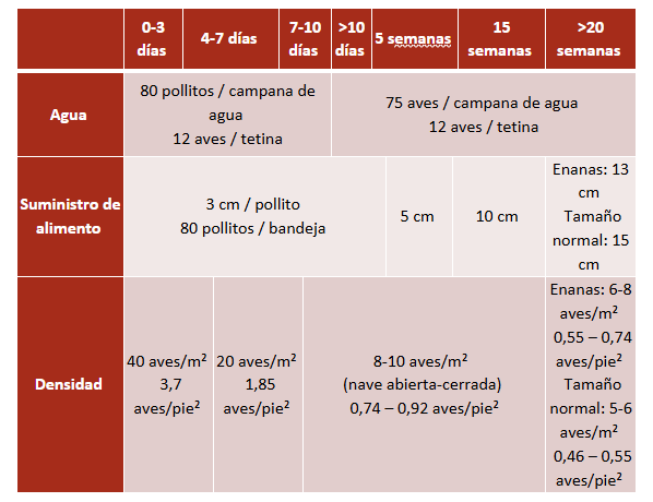 densidad table_chick placement