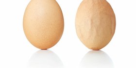 egg-shell-probs-Pic.jpg