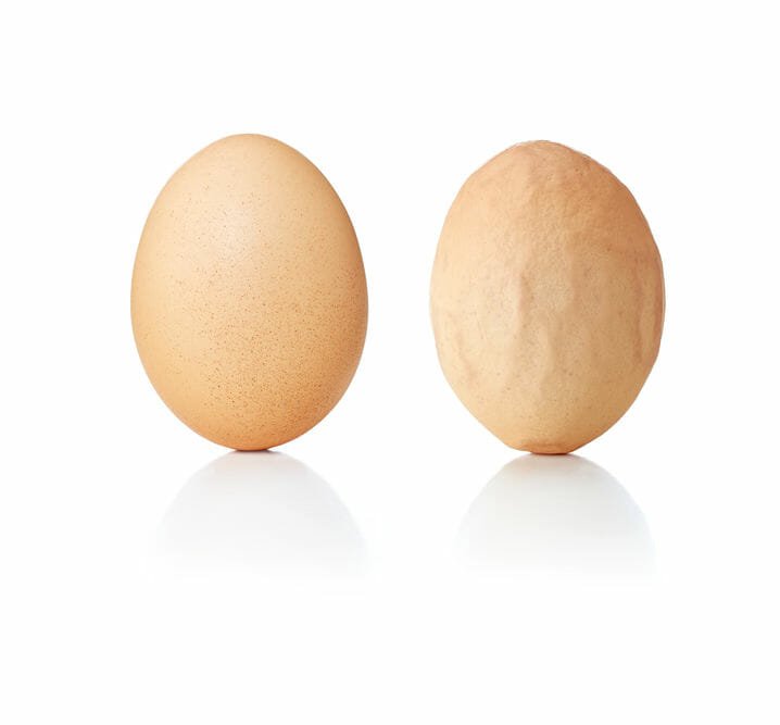 egg-shell-probs-Pic.jpg