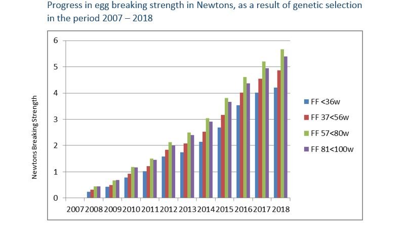 Progress in egg breaking strength