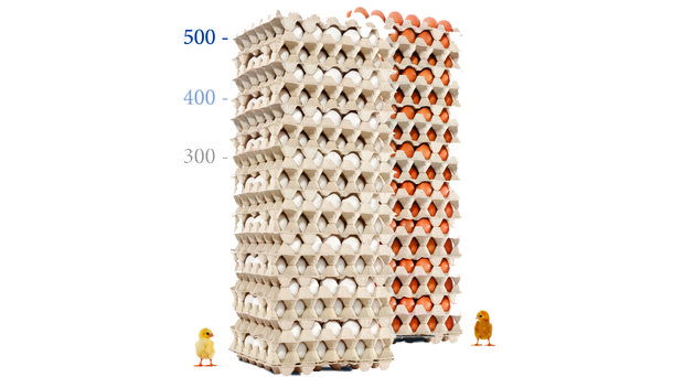 egg tower white and brown layers