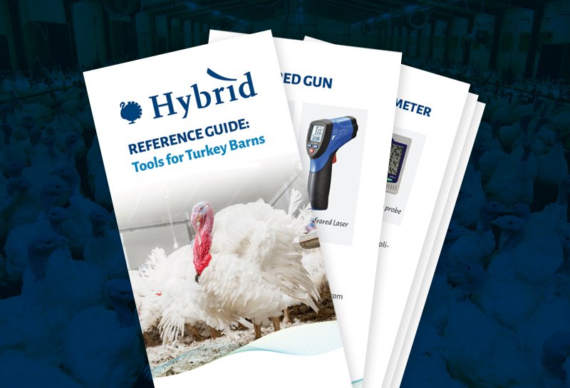 Download our Equipment Reference Cards