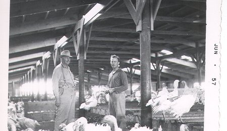 farm june 1957