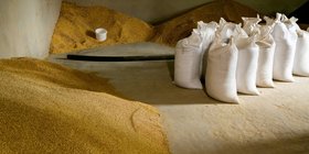 feed_salmonella_article