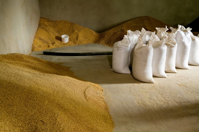 Preventing salmonella contamination via feed
