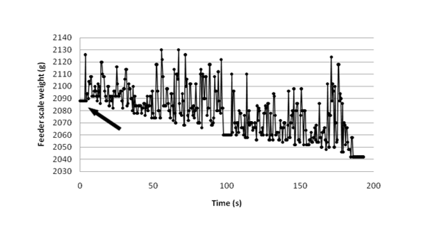 feed station graph