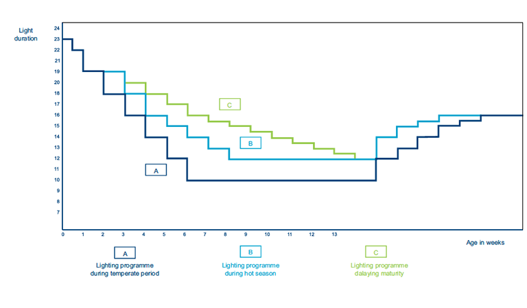 figure 2 lighting programs.png