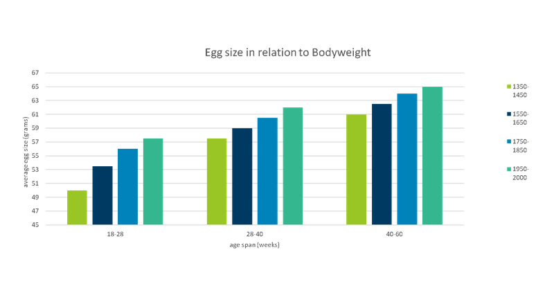 figure 3 Management in lay.png