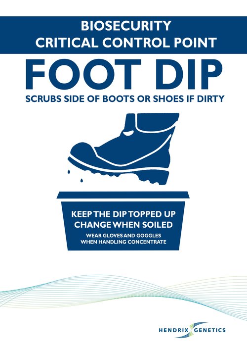 foot dip_trustworthy blue_HR.jpg