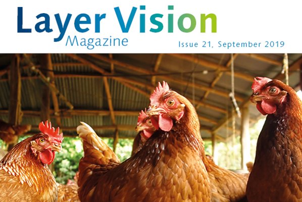 Layer Vision, Issue 21 Now Available