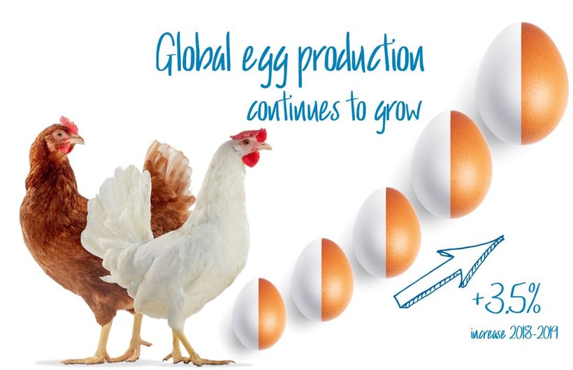 Latest trends in global egg production