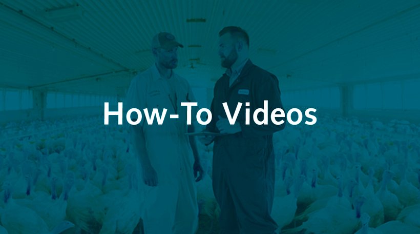 How-To Video: Poult Temperature Management