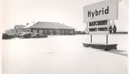 hybrid office1972