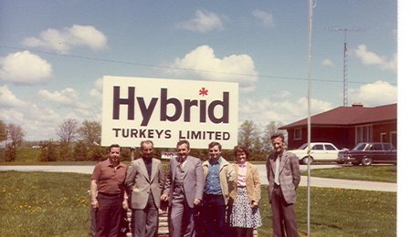 hybrid office 60's