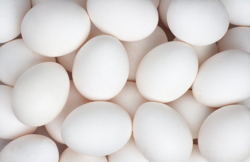 Eggs rank among the most sustainable proteins