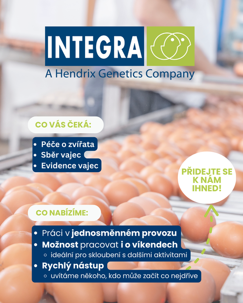 inzerát - ošetřovatelka brigádník (Příspěvek na Instagramu (4  5)) (1)