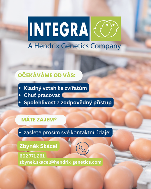 inzerát - ošetřovatelka brigádník (Příspěvek na Instagramu (4  5)) (2)