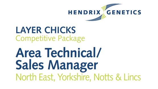 Sales Manager
