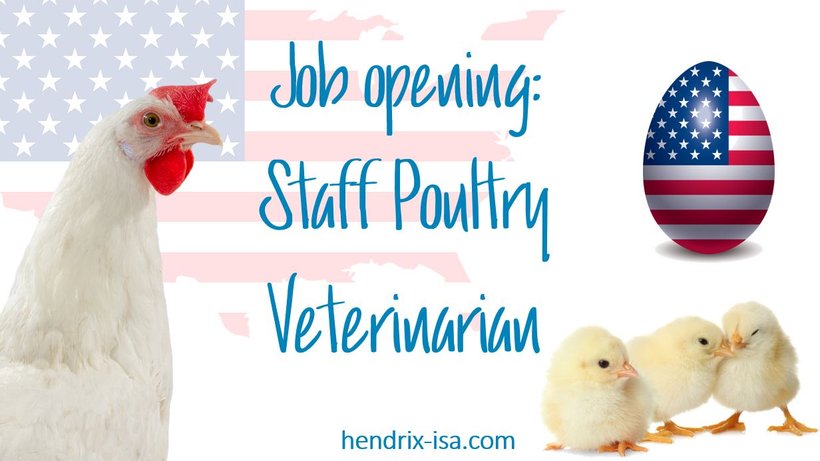 Hendrix-ISA is looking for a Staff Veterinarian