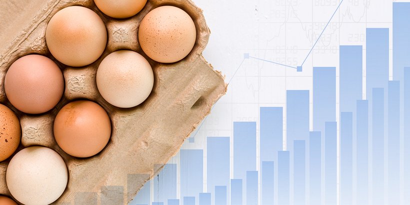 Achieving egg weight targets that match  market trends