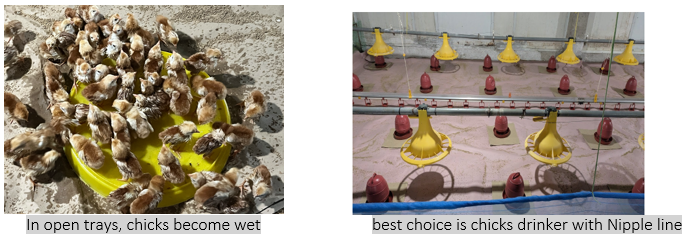 key points EN watering