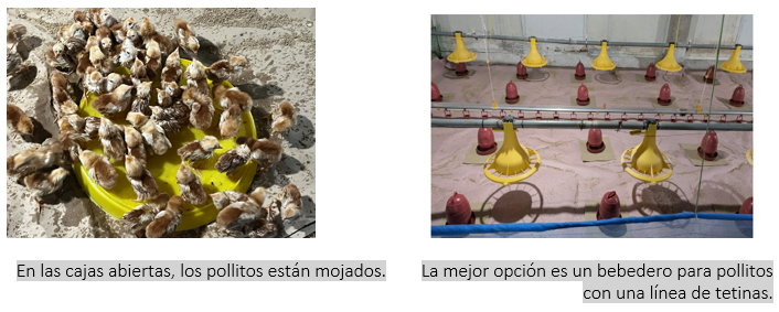 key points ES watering