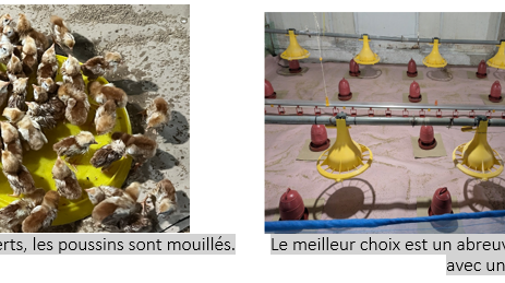 key points FR watering