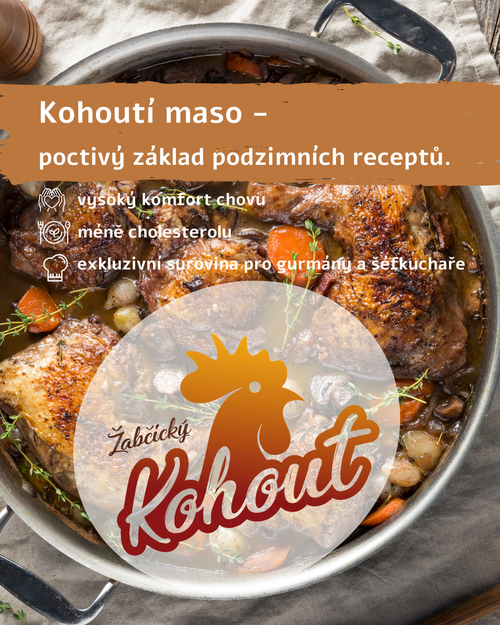 leták kohout (Příspěvek na Instagramu (4 5)) (4)