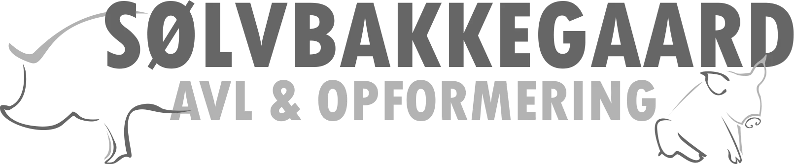 Solvbakkegaard