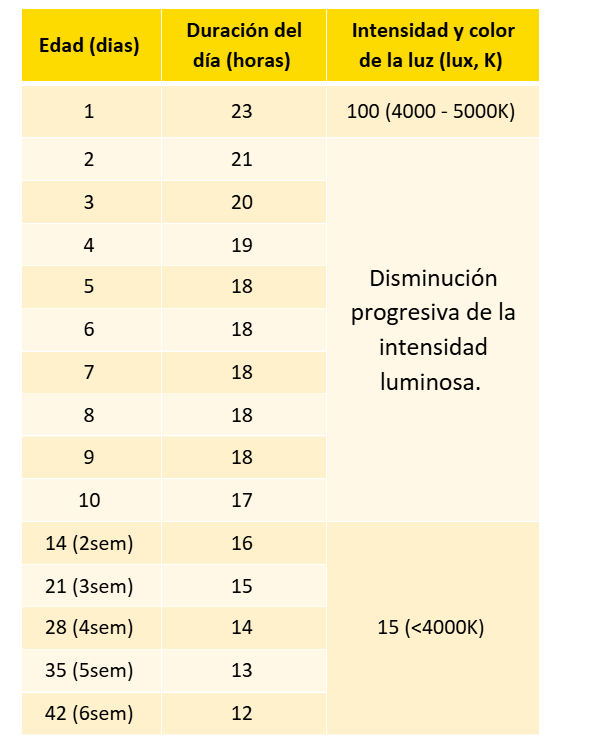 luz table_chick placement
