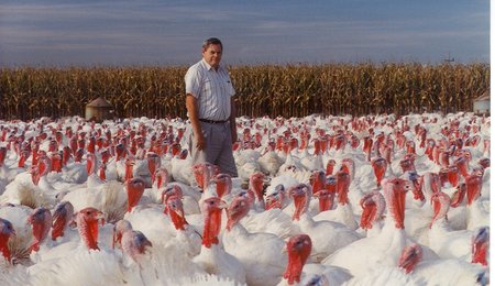 man in turkey field 1980's