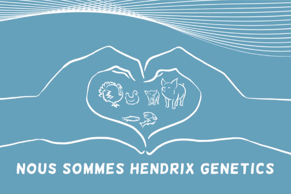 nous sommes hendrix genetics video thumbnail.png
