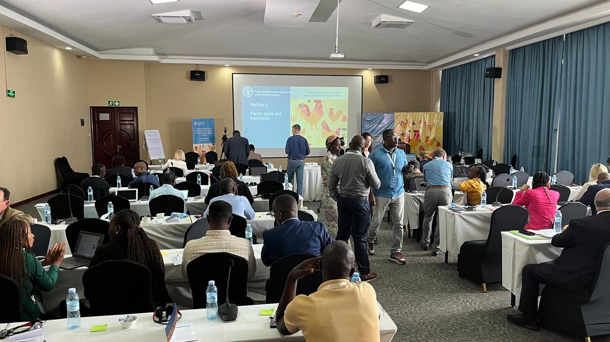 Forum FAO Uganda